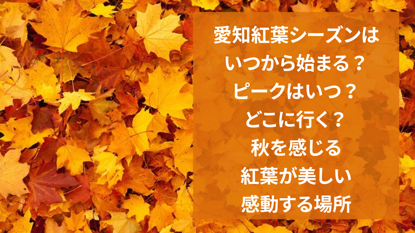 愛知紅葉シーズンはいつから始まる？ピークはいつ？どこに行く？：秋を感じる紅葉が美しい感動する場所