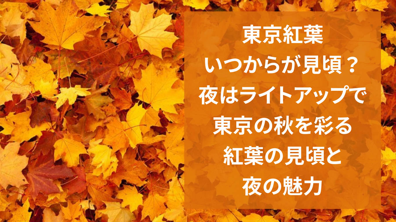 東京紅葉、いつからが見頃？夜はライトアップで：東京の秋を彩る紅葉の見頃と夜の魅力