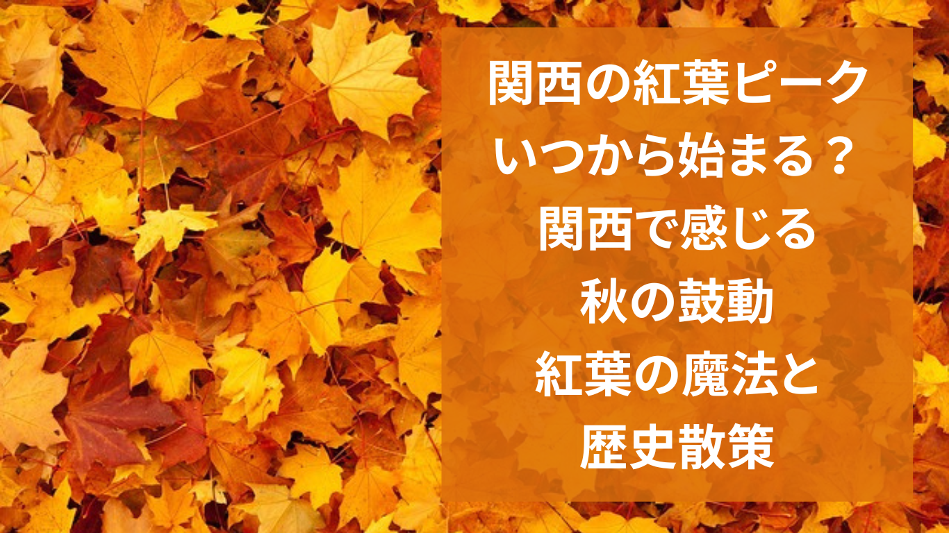 関西の紅葉ピーク、いつから始まる？：関西で感じる秋の鼓動、紅葉の魔法と歴史散策
